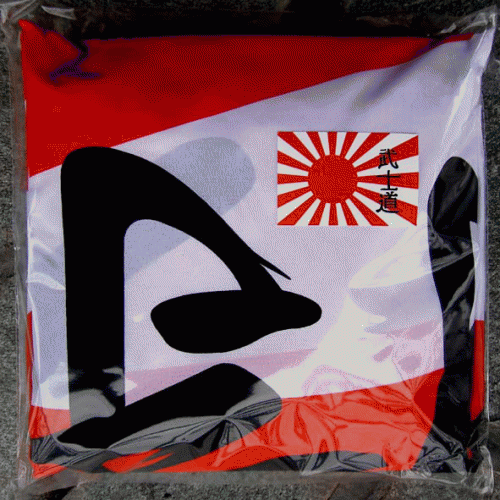 A Challenge Of Honour : Ashigaru